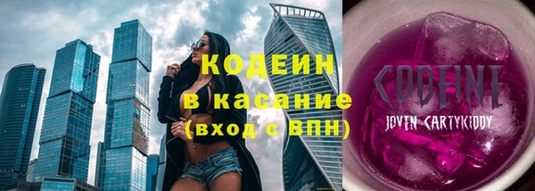 хмурый Алзамай