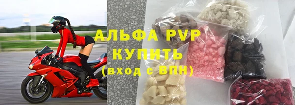 PSILOCYBIN Инта