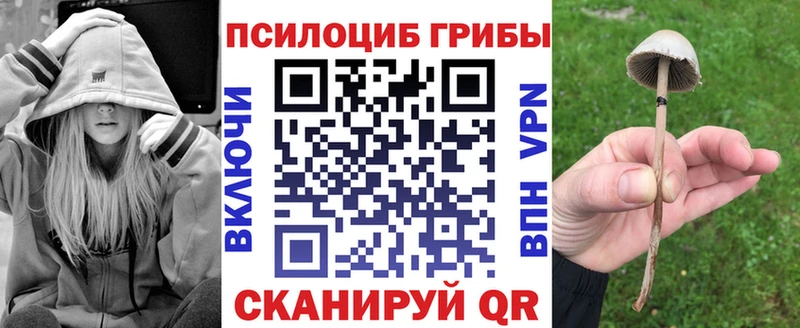 Псилоцибиновые грибы MAGIC MUSHROOMS  Себеж 